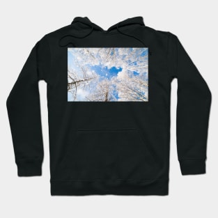 Snow falling from trees Hoodie